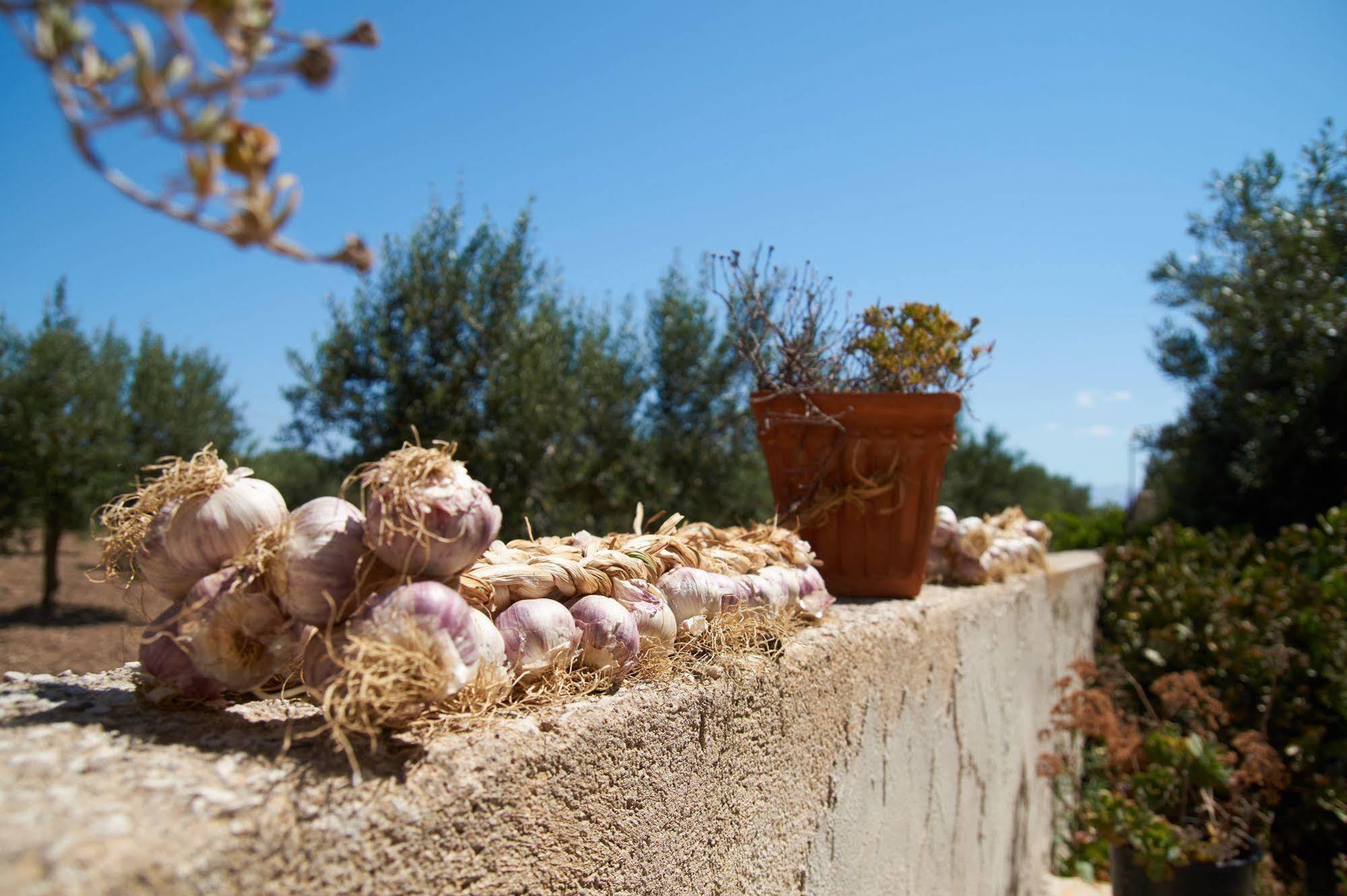 Casolare Nelle Saline Bed & Breakfast Torre Nubia Dış mekan fotoğraf